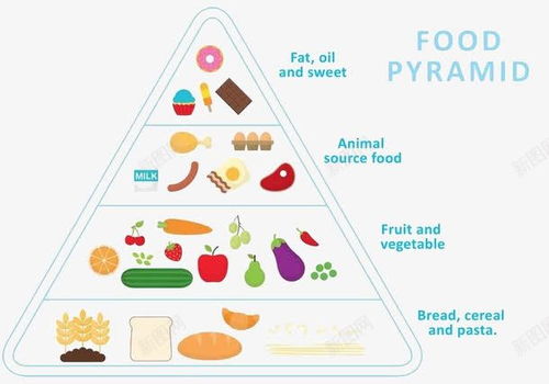 营养金字塔，构建孩子健康成长的基石