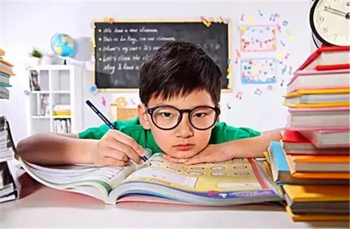 探索幼儿教育，关键时期的发展与学习策略