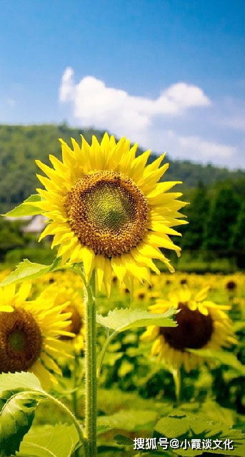 关注孩子成长，启发与感悟之旅