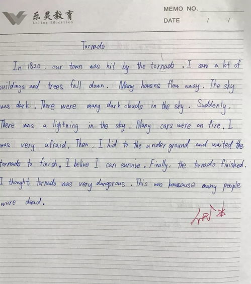 成长期的孩子如何通过英语作文提升语言能力