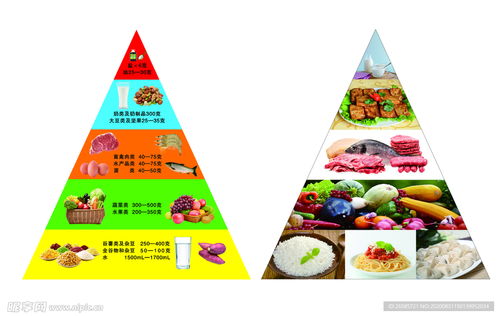 营养金字塔，幼儿园的营养教育教案