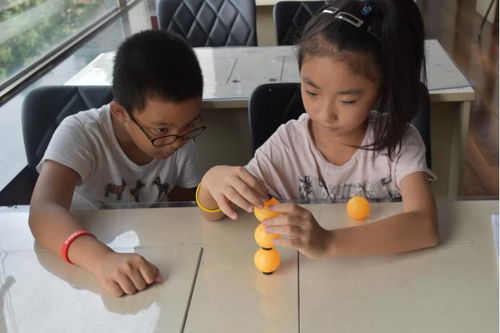 探索孩子成长的秘密，选择合适的活动地点