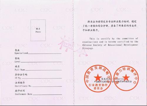 成为幼儿园教师，必备资格证书与职业发展指南