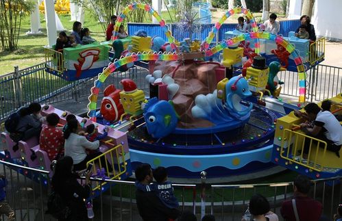 探索儿童游乐设施，英文表达指南