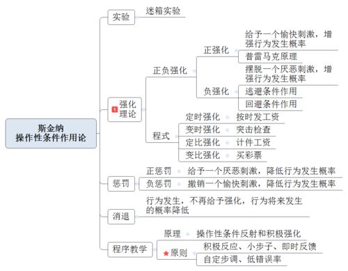 幼儿教育心理学思维导图模板，构建孩子成长的框架