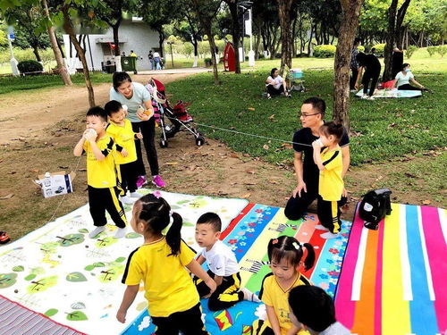 亲子游玩活动，寓教于乐的图片大全