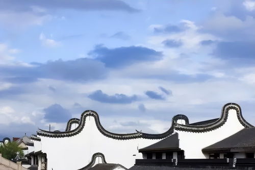 李晓菲：从江南水乡到国际设计舞台的艺术成长与成就解析