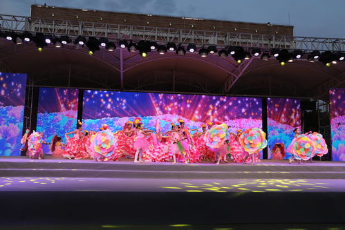 李晓菲：从江南水乡到国际设计舞台的艺术成长与成就解析