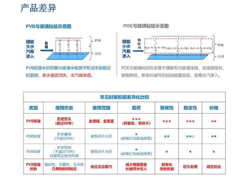 bean是什么意思？从日常豆子到编程组件，一文读懂bean的多重含义与实用价值