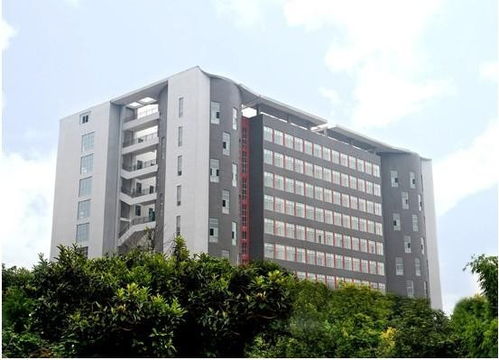 四川音乐学院绵阳艺术学院：成就艺术梦想的殿堂，招生就业全解析