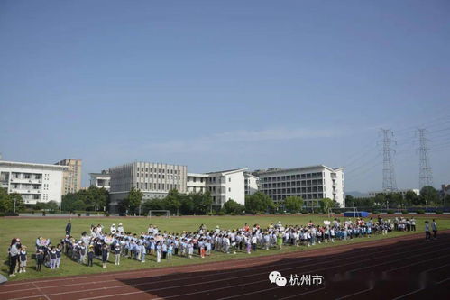 立信国际：一站式解决国际教育难题，让孩子快乐成长无忧升学