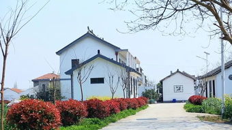 王晓倩：从江南水乡到国际设计大师，用创新设计解决生活难题的温暖旅程