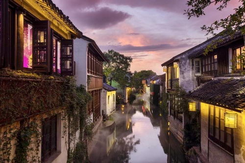 王晓倩：从江南水乡到国际设计大师，用创新设计解决生活难题的温暖旅程