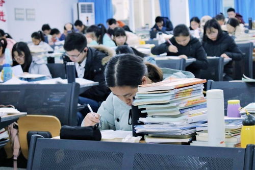 阳江市实验学校招生政策、教学质量与特色课程全解析，助您轻松择校